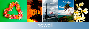 iconhawaii